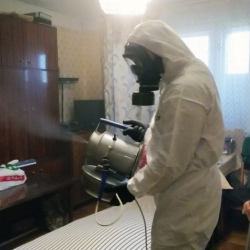 Дезинфекция от клопов в Рузе