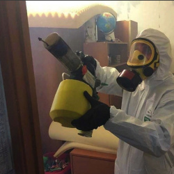 Уничтожение клопов в квартире. Руза